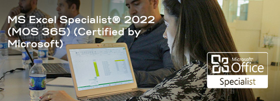 Ms Excel Specialist® 2022 (Mos 365)